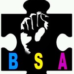 BSA Presents Night Under the Northern Star