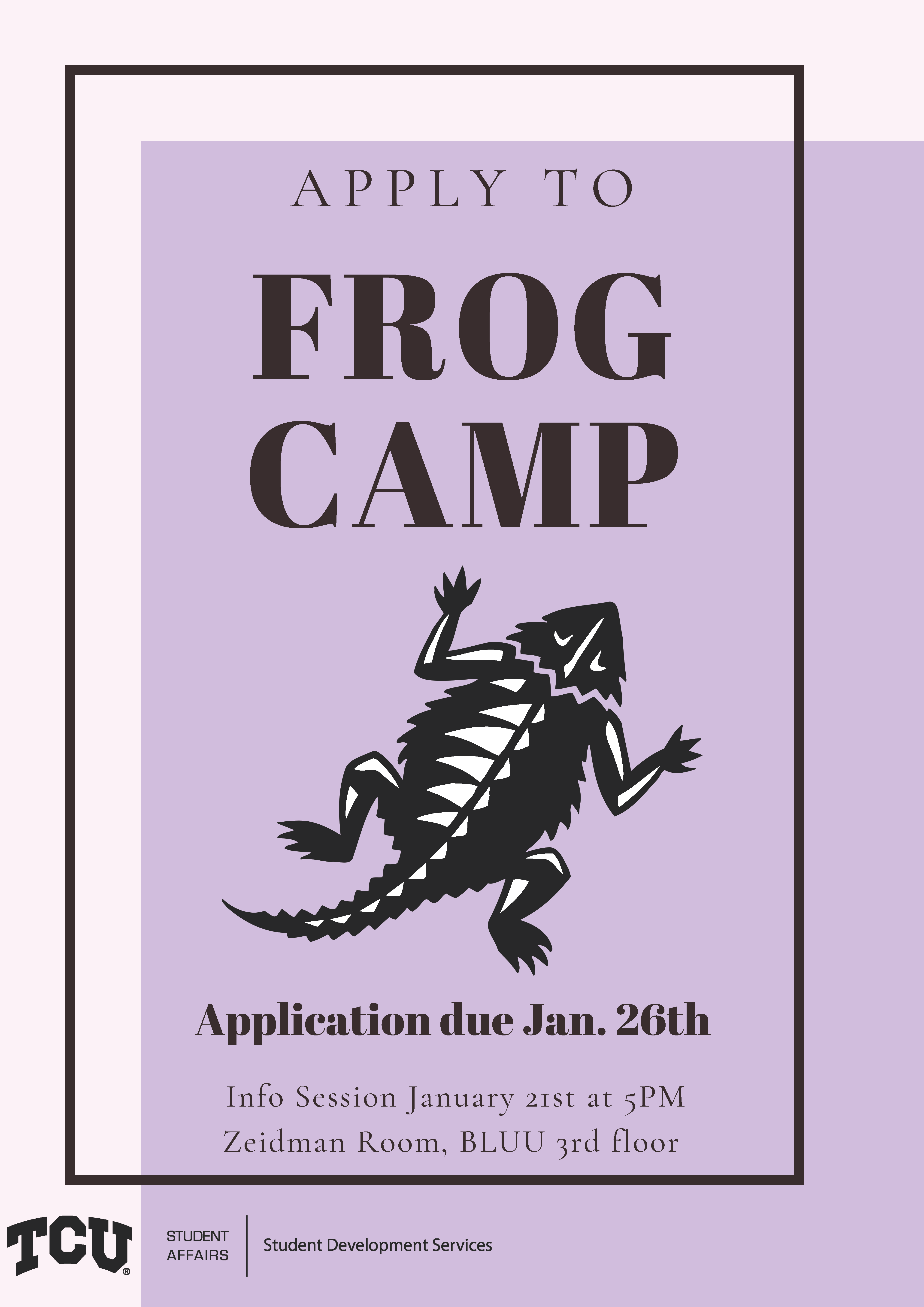 Frog Camp Flyer