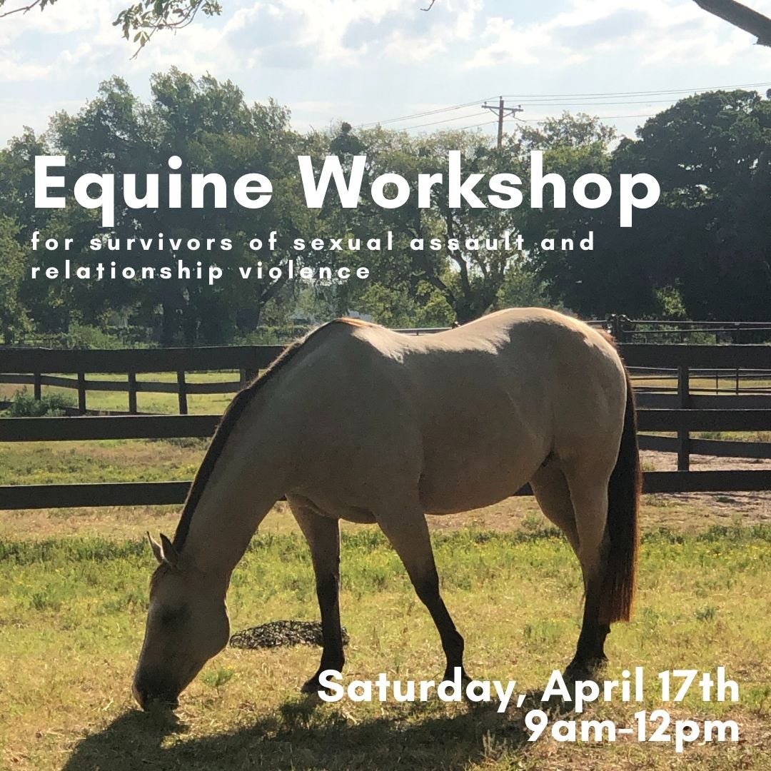 equine workshop
