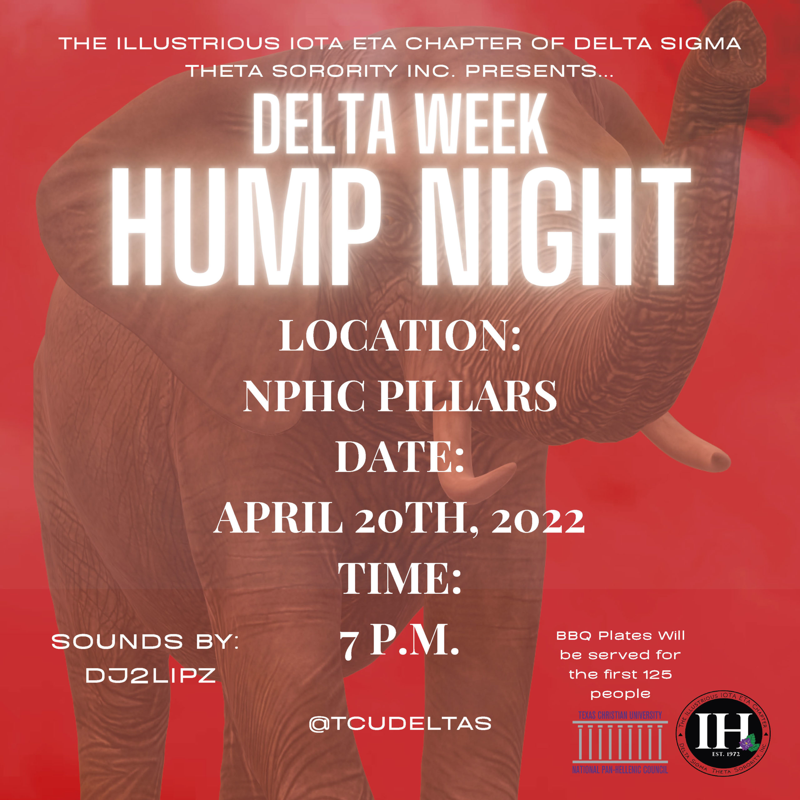 Hump Night Flyer