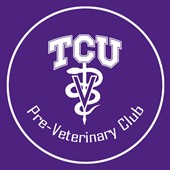 A Day in the Life of a Veterinary Oncologist