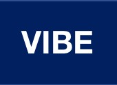 VIBE: A panel of veteran entrepreneurs