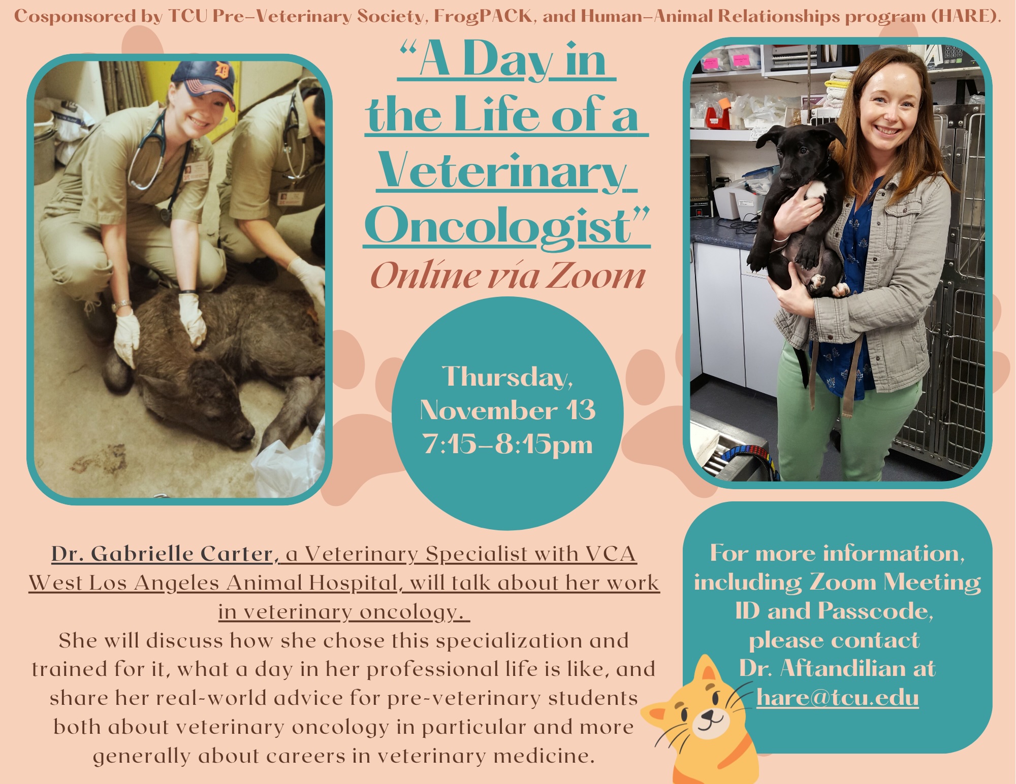 &ldquo;A Day in the Life of a Veterinary Oncologist&rdquo; DRAFT - 1