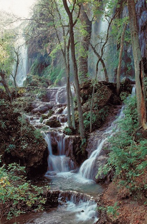gorman_falls